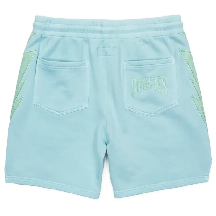 Off The Books Fleece Cookies Shorts Powder Blue (1)