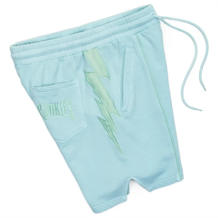 Off The Books Fleece Cookies Shorts Powder Blue (4)